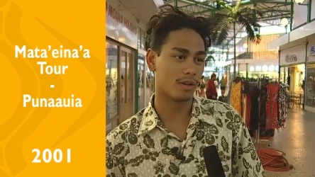 Mata'eina'a Tour - Punaauia