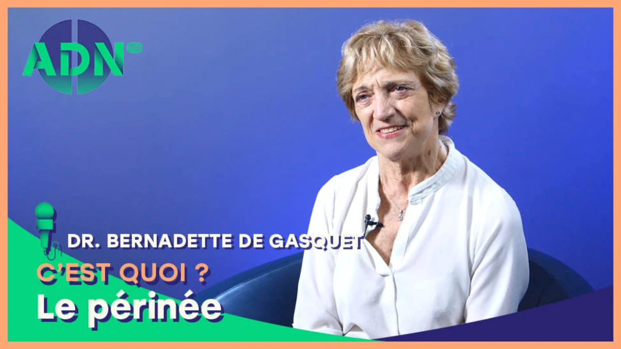 Le périnée, c’est quoi ?