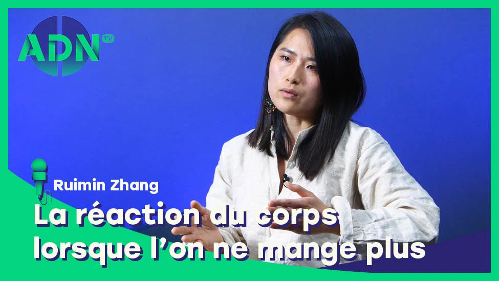 La physiologie du jeûne : La réaction du corps lorsque l’on ne mange plus