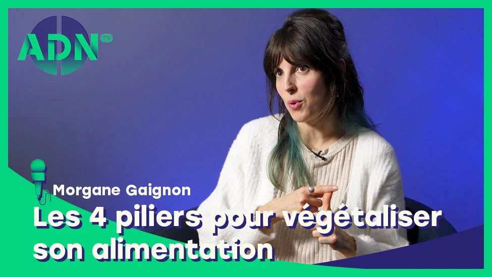 4 piliers pour végétaliser son alimentation sans prise de tête, sans carence et en se régalant !