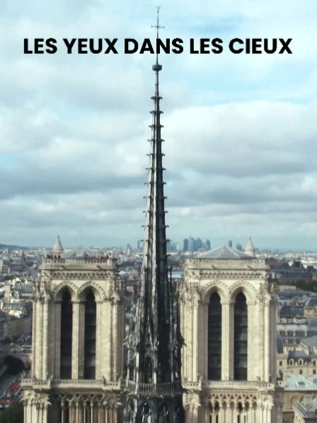 Les yeux dans les cieux - Les flèches de nos cathédrales