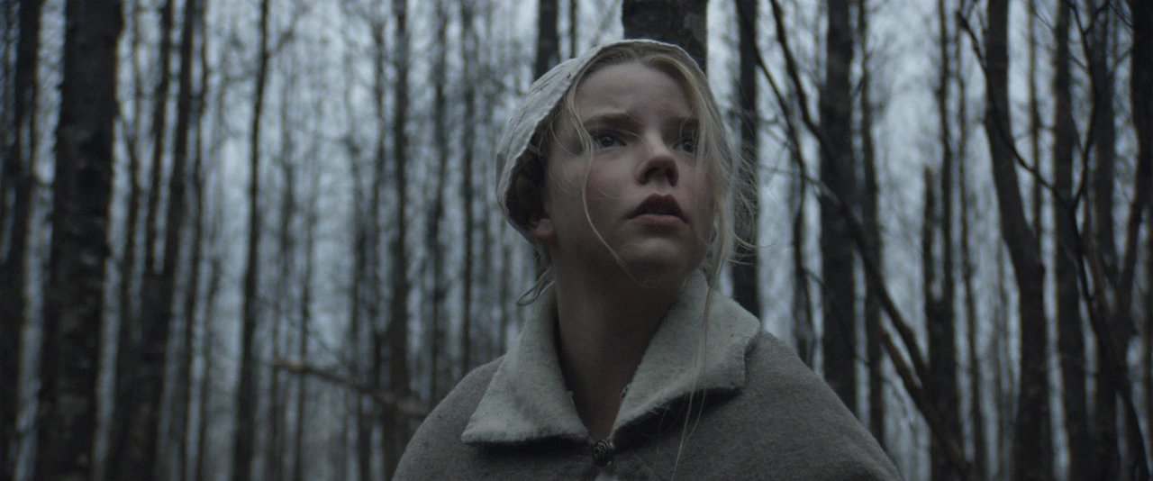 Woodlands Dark and Days Bewitched: Episode III