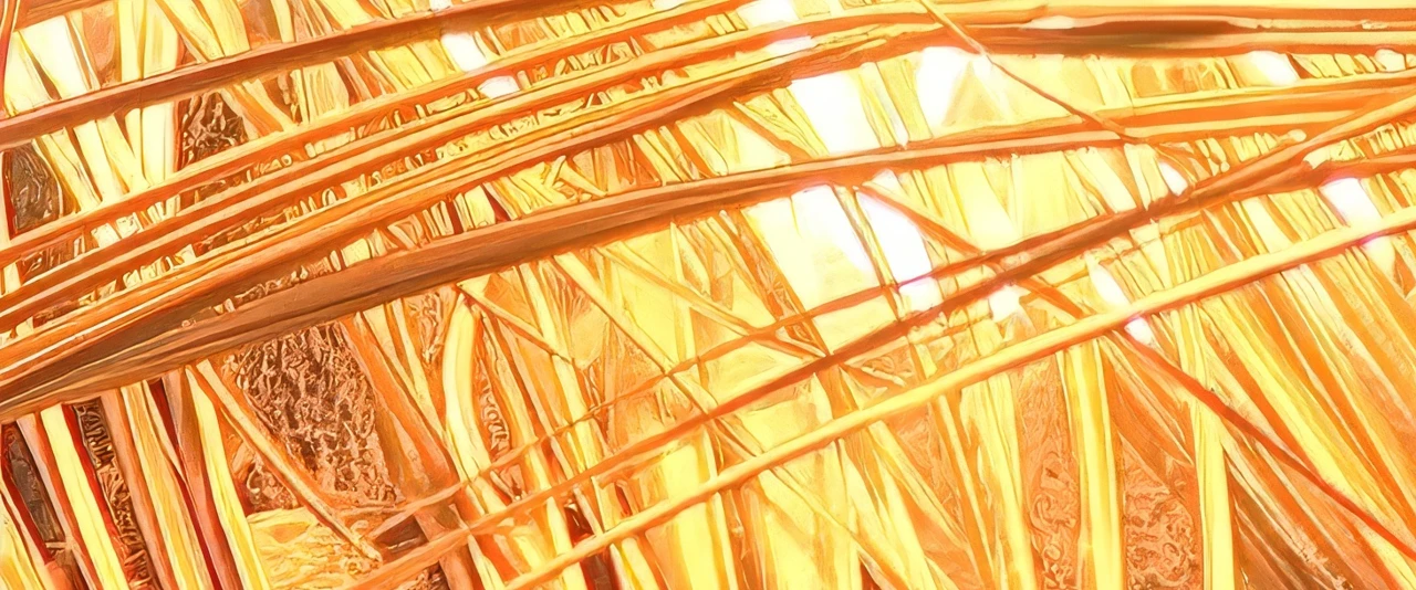 La marche sur le feu à Papeete