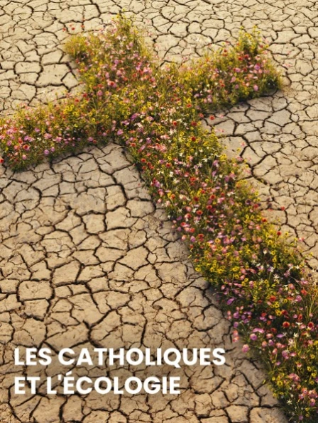 Les catholiques et l'écologie