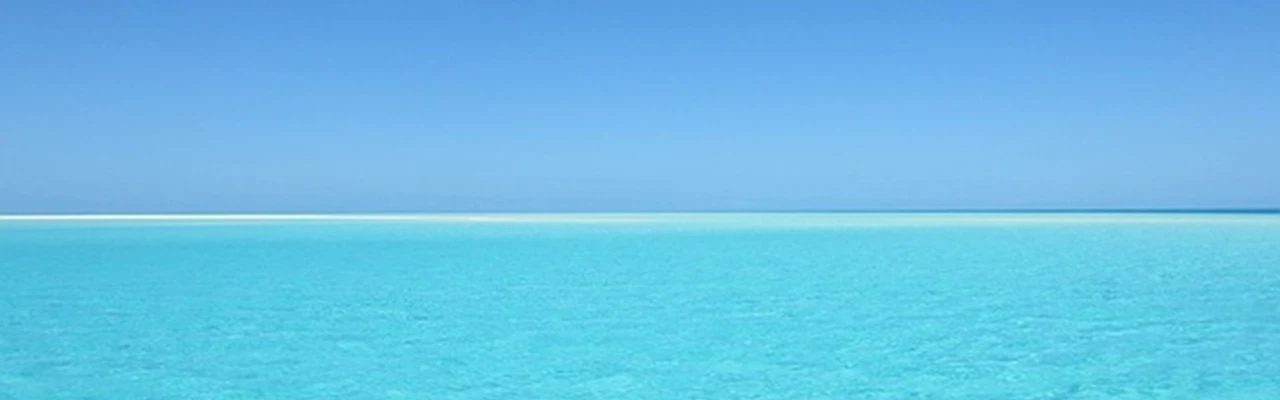 Quiz - Qu'est ce qui est bleu ?