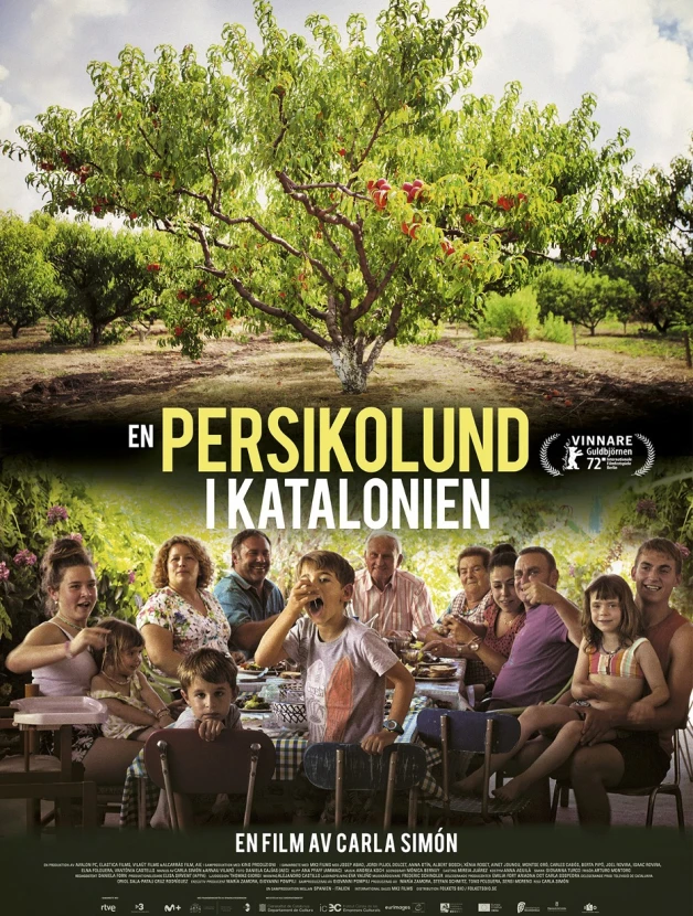 En persikolund i Katalonien