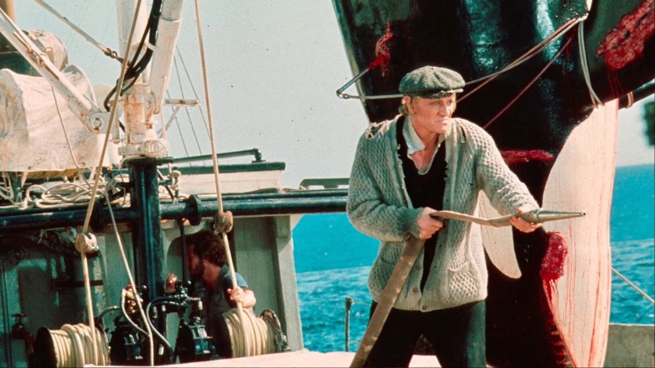 Orca, la Ballena Asesina