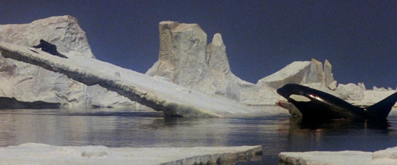 Orca - A Fúria dos Mares