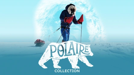Polaire