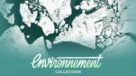 Environnement