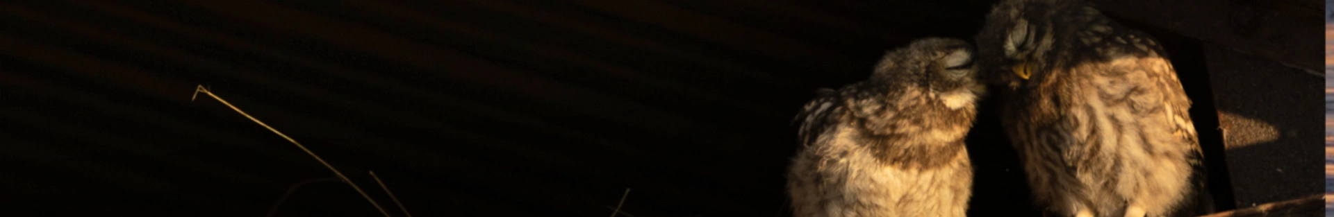 L'humour est bon pour la nature